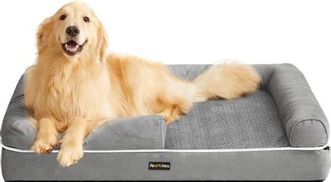 Las 19 Mejores Camas Sofas Ortopedicos Para Perros Mes 2025