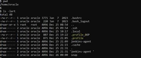 Configure Agent Linux Slave Machine With Jenkins Master Using Ssh Key