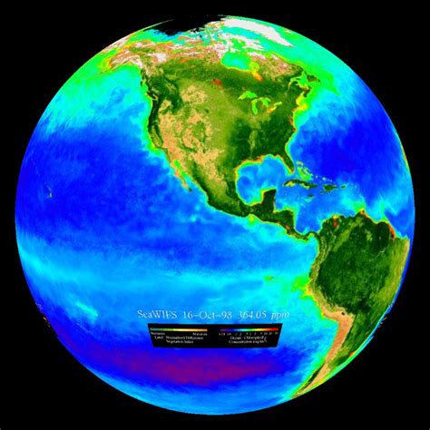 Biosphere Marine Chlorophyll Concentration And Land Vegetation With