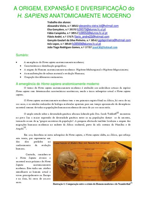 Do Homem Sapiens Ao Homem Moderno - T15 Homem Anatomicamente Moderno | PDF | Homo | Neanderthal