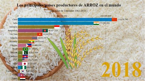 Los Principales Pa Ses Productores De Arroz En El Mundo Youtube