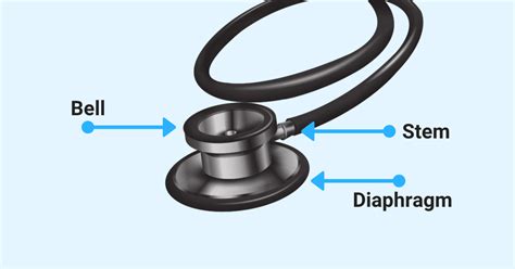 top  parts   stethoscope labeled  explained