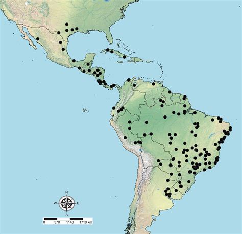 Phylogenomic Reconstruction Reveals New Insights Into The Evolution And Biogeography Of Atta