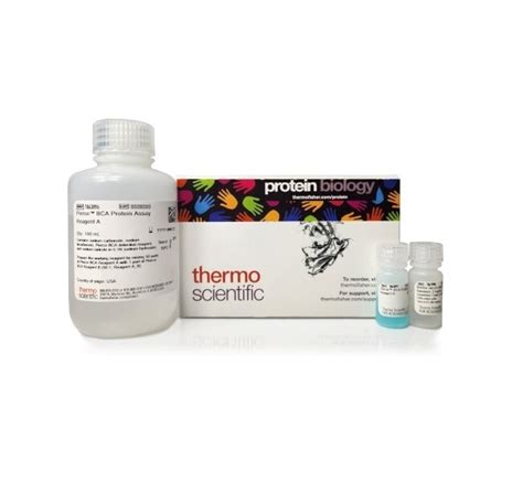 Thermo Scientific Pierce BCA Protein Assay Kits Pierce BCA Protein ...