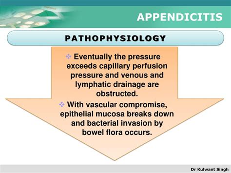 Ppt Appendicitis Powerpoint Presentation Free Download Id1703196