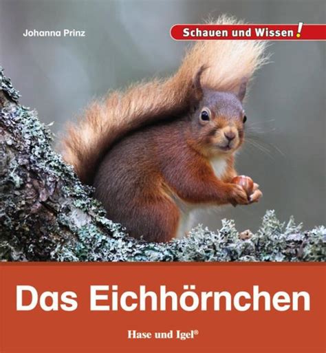 Das Eichhörnchen Das Honighäuschen in Bonn