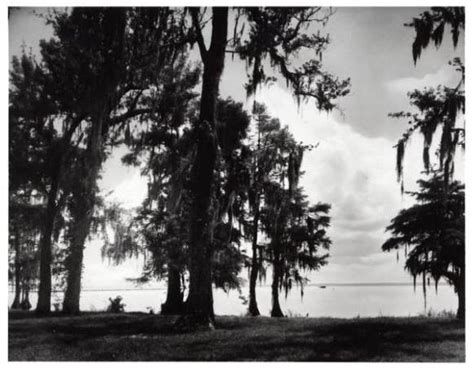 Lake Waccamaw State Park | NCpedia