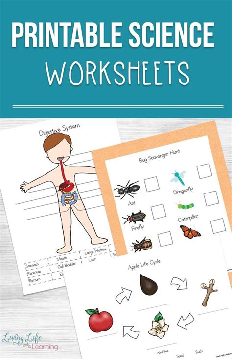 Science Free Printable Worksheets