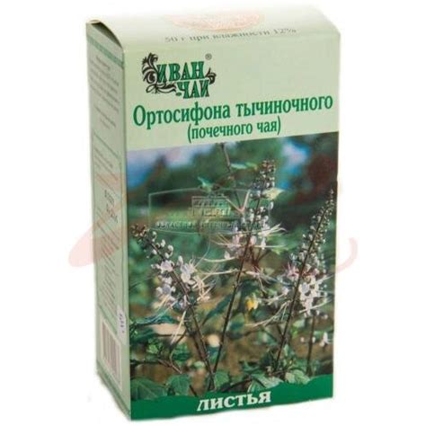 Ортосифона тычиночного (почечного чая) листья измельченные 50г купить в ...