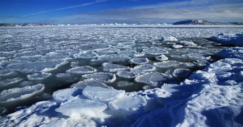 The Lows And Lows Of Antarctic Sea Ice Australian Antarctic Program