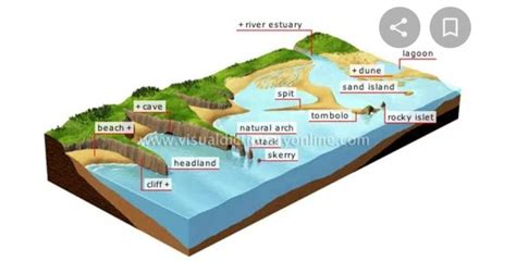 Diagram Of Coastal Plain Brainly In