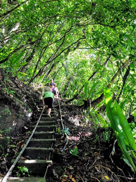 Tuafanua Trail- Hiking in American Samoa - AmSamFam