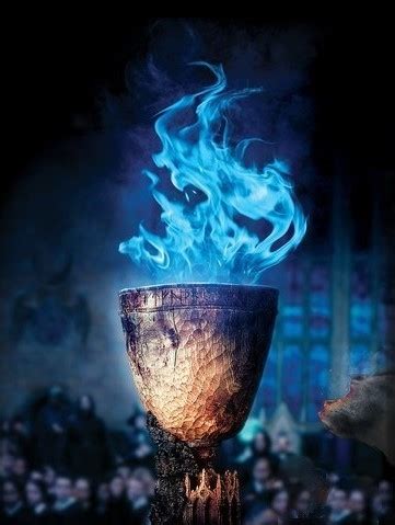 Goblet of Fire | Harry Potter Wiki | FANDOM powered by Wikia