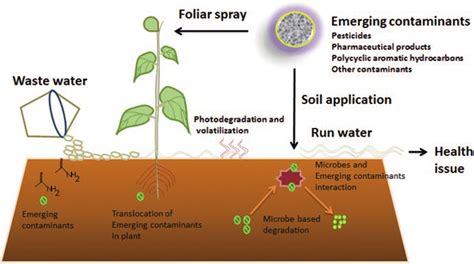 1 Source And Fate Of Contaminants In Soils Directly Or Indirectly