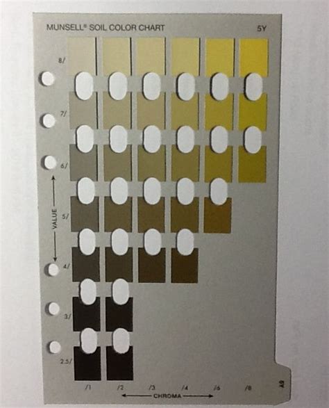 spedizione Duchessa Mettere insieme munsell soil color chart ...