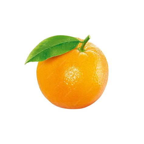 laranja  laranja  uma fruta  pertence  diferentes especies