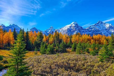 Banff National Park during Autumn, Alberta Canada Stock Photo - Image of park, autumn: 267559950