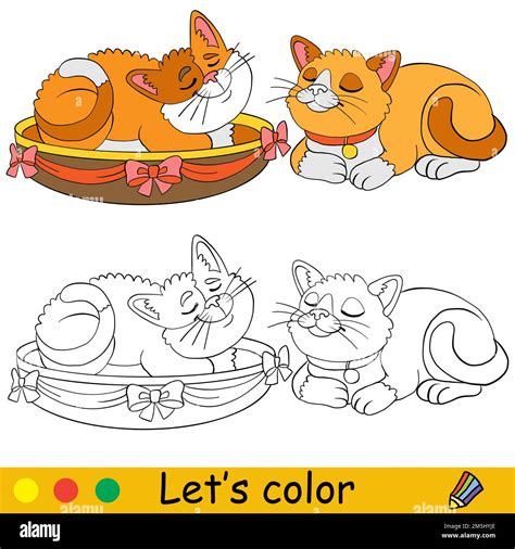 Chats endormis mignons Page de livre de coloriage avec modèle de