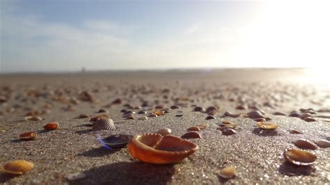 Hilton doubletree financial district nyc offers better views now 28