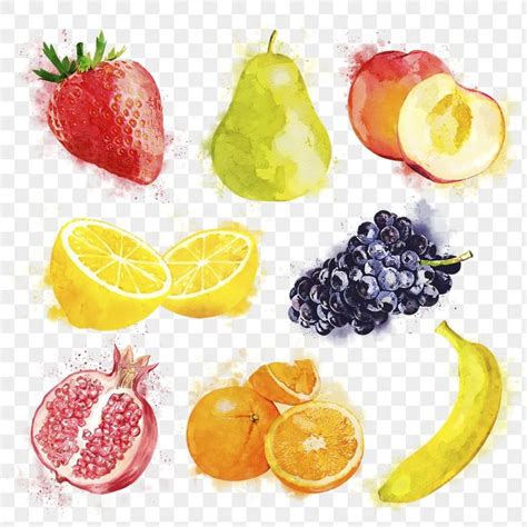 Download Premium Png Of Aesthetic Fruits Png Sticker Watercolor Food