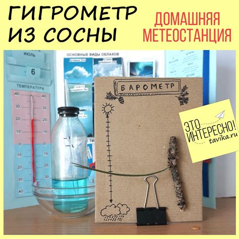 Гигрометр из сосновой иголки - tavika.ru
