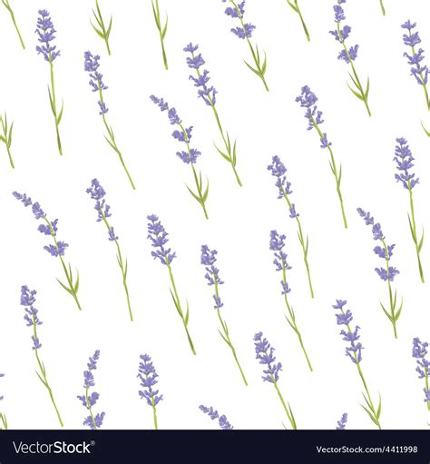 Seamless Lavender Pattern Royalty Free Vector Image