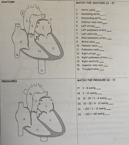 ECHO Physiology EKG Flashcards Quizlet