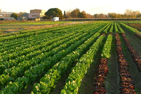 Subvención para proyecto agroturístico Can Comas en el Parc Agrari del