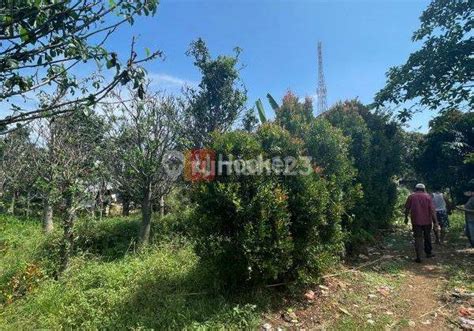 Tanah Dijual Di Gunung Sindur Bogor Rumah123 Hal 3