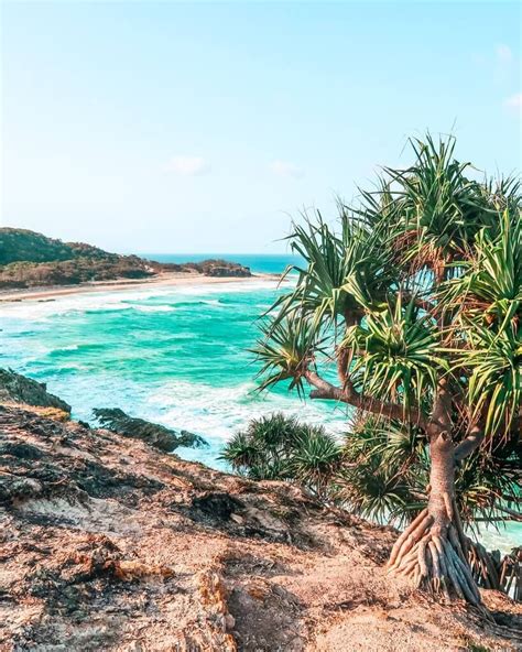 All You Need To Know To Plan Your Day Trip To North Stradbroke Island