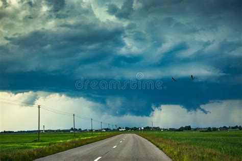 Supercell Storm Clouds with Wall Cloud and Intense Rain Stock Photo - Image of extreme, birds ...