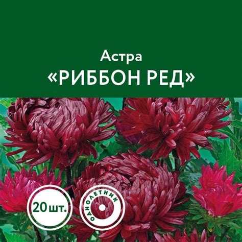 Цветы – Семена – купить саженцы оптом и в розницу – питомник Сады Урала