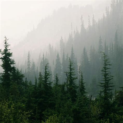 Homepage - Blackwell