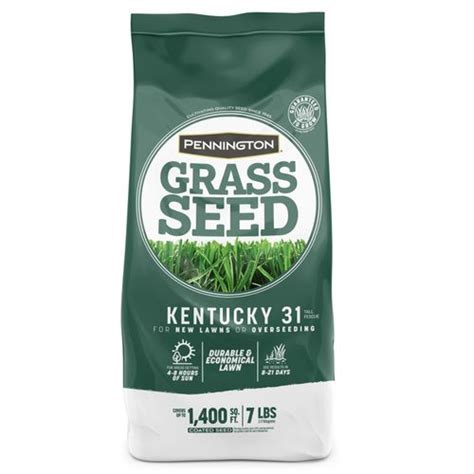 Kentucky 31-Tall Fescue Grass Seed | Agri Supply