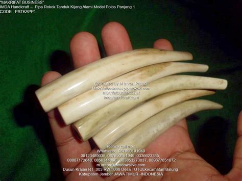 Pipa Rokok Tulang Tanduk Model Panjang Putih Polos By Jember