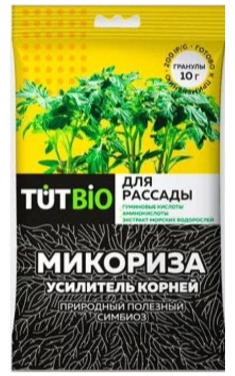 Золотая сотка алтая