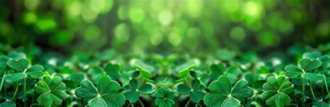 Premium Photo Green Background With Threeleaved Shamrocks Lucky Irish