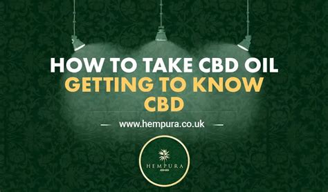 How To Take Cbd Oil Cbd Oils Cbd Products