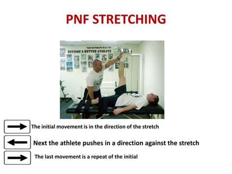 Proprioceptive Neuromuscular Facilitation Ppt