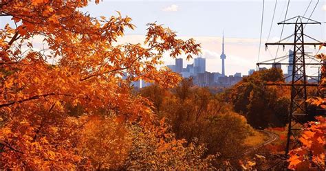 5 parks to see stunning fall foliage in Toronto (PHOTOS) | Lifestyle