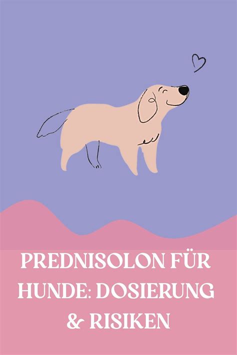 Prednisolon F R Hunde Dosierung Risiken In Side Effects