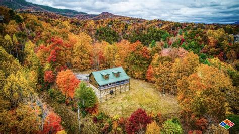 Bearded Bear Lodge Luxury Cabin