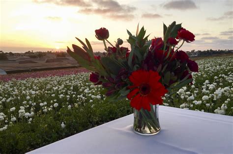 Gorgeous Field To Vase Dinner Celebrates Local Flowers Food And