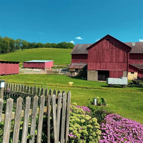 day trip  ohios amish country