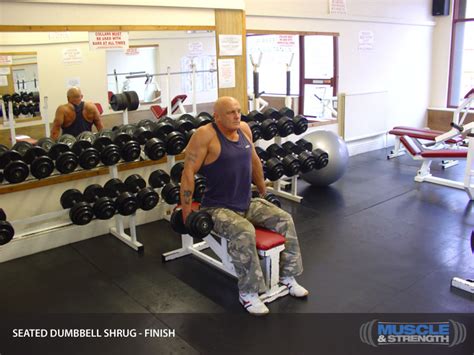 Seated Dumbbell Shrug: Video Exercise Guide & Tips