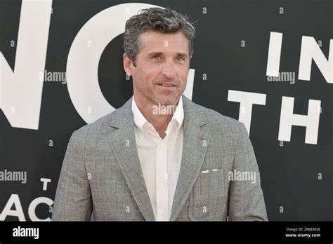 Patrick Dempsey attends the LA premiere of "The Art of Racing in the ...