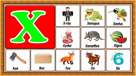 Free Letter X Vocabulary Download Free Letter X Vocabulary Png Images