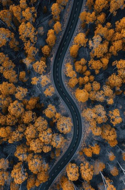 Premium Photo Aerial View Of Winding Road Through Autumn Forest