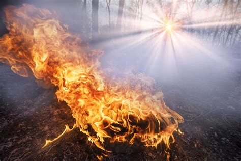 Burning forests and fields stock image. Image of burn - 178452805