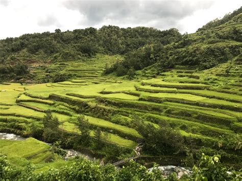 Saan Matatagpuan Ang Rice Terraces J Net Usa